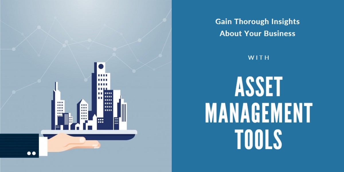 Gain insights about business with asset management tools